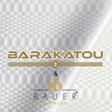 Bazin Luxury Bauer Keep Cool GRIS CLAIR